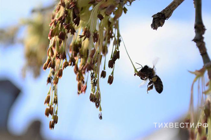 Фото Виолетты ГАВРИЛЕНКО